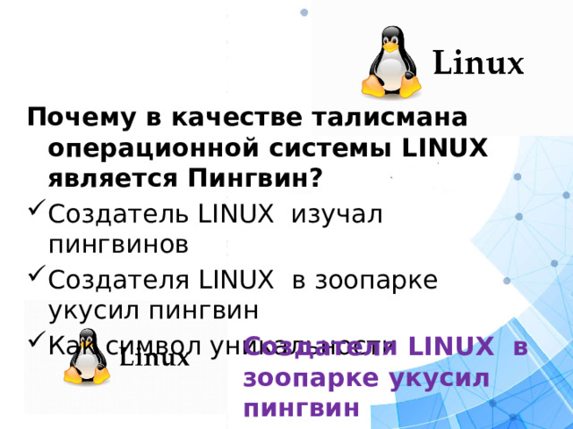 Почему в качестве талисмана операционной системы LINUX является Пингвин? Создатель LINUX изучал пингвинов Создателя LINUX в зоопарке укусил пингвин Как символ уникальности Создателя LINUX в зоопарке укусил пингвин