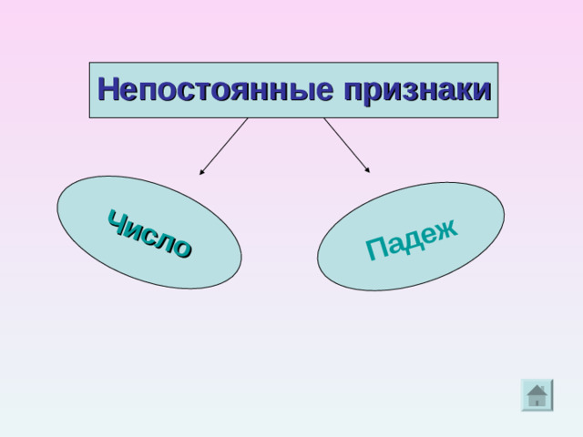 Число Падеж Непостоянные признаки