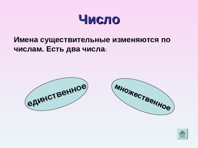 единственное множественное Число Имена существительные изменяются по числам. Есть два числа : Существительные в форме единственного числа обозначают один предмет. Существительные в форме множественного числа обозначают два или несколько предметов.