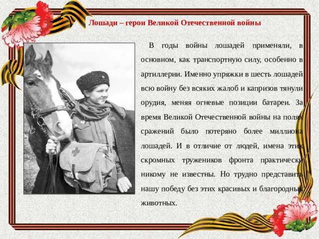 В годы войны лошадей применяли, в основном, как транспортную силу, особенно в артиллерии. Именно упряжки в шесть лошадей всю войну без всяких жалоб и капризов тянули орудия, меняя огневые позиции батареи. За время Великой Отечественной войны на полях сражений было потеряно более миллиона лошадей. И в отличие от людей, имена этих скромных тружеников фронта практически никому не известны. Но трудно представить нашу победу без этих красивых и благородных животных.  Лошади – герои Великой Отечественной войны