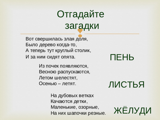 Отгадайте загадки Вот свершилась злая доля,  Было дерево когда-то,  А теперь тут круглый столик,  И за ним сидят опята . ПЕНЬ Из почек появляются,  Весною распускаются,  Летом шелестят,  Осенью – летят.   ЛИСТЬЯ На дубовых ветках  Качаются детки,  Маленькие, озорные,  На них шапочки резные.   ЖЁЛУДИ