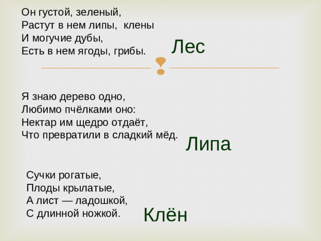 Он густой, зеленый,  Растут в нем липы,  клены  И могучие дубы,  Есть в нем ягоды, грибы. Лес Я знаю дерево одно,  Любимо пчёлками оно:  Нектар им щедро отдаёт,  Что превратили в сладкий мёд. Липа Сучки рогатые,  Плоды крылатые,  А лист — ладошкой,  С длинной ножкой.   Клён