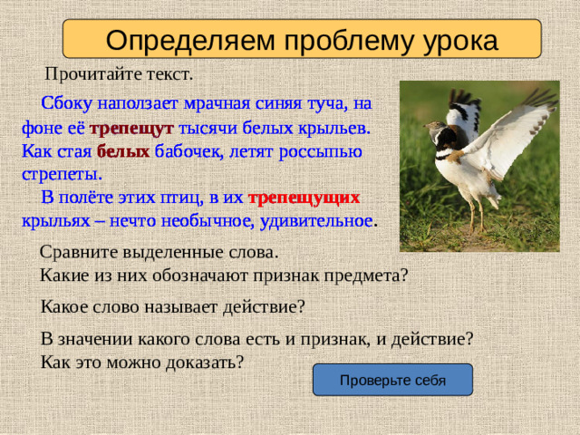 Определяем проблему урока Прочитайте текст.  Сбоку наползает мрачная синяя туча, на фоне её трепещут тысячи белых крыльев. Как стая белых бабочек, летят россыпью стрепеты.  Сбоку наползает мрачная синяя туча, на фоне её трепещут тысячи белых крыльев. Как стая белых бабочек, летят россыпью стрепеты.  Сбоку наползает мрачная синяя туча, на фоне её трепещут тысячи белых крыльев. Как стая белых бабочек, летят россыпью стрепеты.  Сбоку наползает мрачная синяя туча, на фоне её трепещут тысячи белых крыльев. Как стая белых бабочек, летят россыпью стрепеты.  В полёте этих птиц, в их трепещущих крыльях – нечто необычное, удивительное .   В полёте этих птиц, в их трепещущих крыльях – нечто необычное, удивительное .   В полёте этих птиц, в их трепещущих  крыльях – нечто необычное, удивительное .   В полёте этих птиц, в их трепещущих крыльях – нечто необычное, удивительное .  Сравните выделенные слова. Какие из них обозначают признак предмета? Какое слово называет действие? В значении какого слова есть и признак, и действие? Как это можно доказать? Проверьте себя