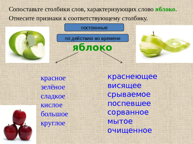 Сопоставьте столбики слов, характеризующих слово яблоко . Отнесите признаки к соответствующему столбику. постоянные по действию во времени яблоко краснеющее висящее срываемое поспевшее сорванное мытое очищенное красное зелёное сладкое кислое большое круглое