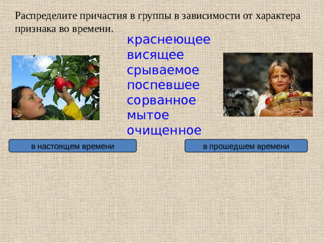 Распределите причастия в группы в зависимости от характера признака во времени. краснеющее висящее срываемое поспевшее сорванное мытое очищенное в прошедшем времени в настоящем времени