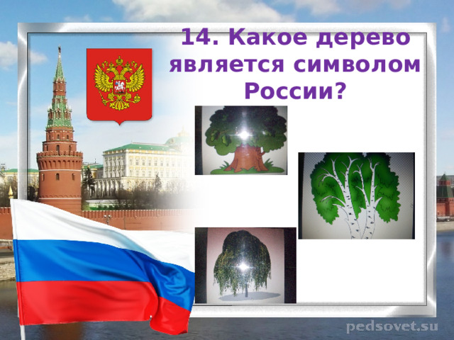 14. Какое дерево является символом России?