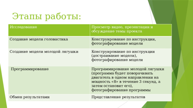 Этапы работы: Исследование Просмотр видео, презентации и обсуждение темы проекта Создание модели головастика Конструирование по инструкции, фотографирование модели  Создание модели молодой лягушки Конструирование по инструкции (достраивание модели), фотографирование модели   Программирование Программирование молодой лягушки (программа будет поворачивать двигатель в одном направлении на мощность «8» в течение 3 секунд, а затем остановит его), фотографирование программы Обмен результатами Представление результатов