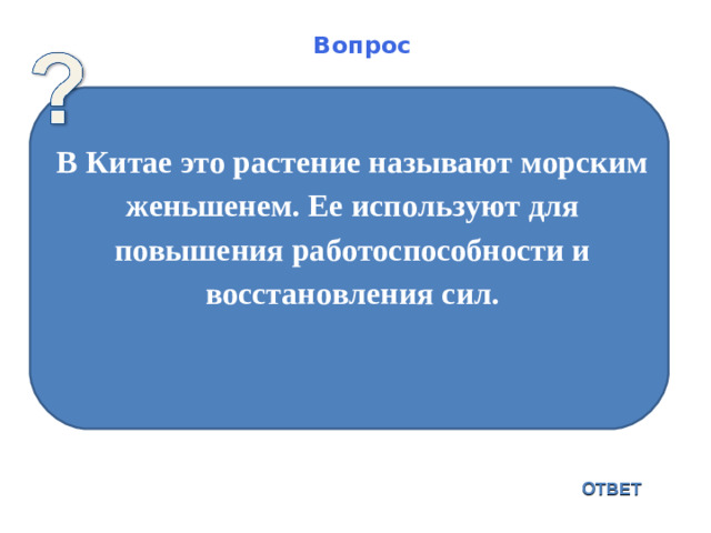 Вопрос В Китае это растение называют морским женьшенем. Ее используют для повышения работоспособности и восстановления сил.   ОТВЕТ