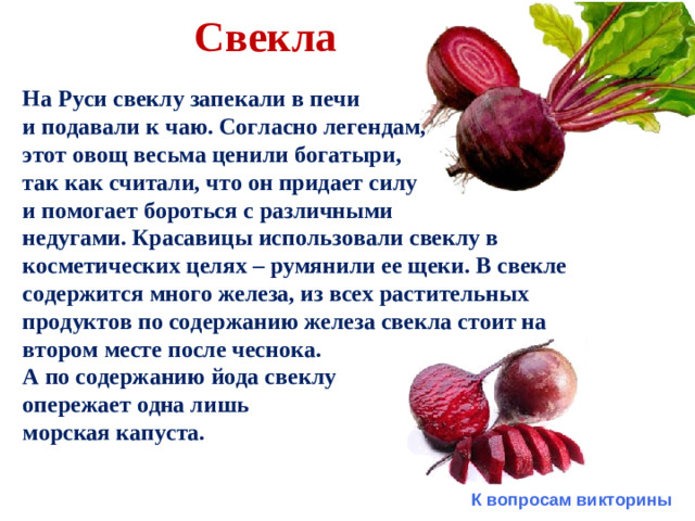 Свекла На Руси свеклу запекали в печи и подавали к чаю. Согласно легендам, этот овощ весьма ценили богатыри, так как считали, что он придает силу и помогает бороться с различными недугами. Красавицы использовали свеклу в косметических целях – румянили ее щеки. В свекле содержится много железа, из всех растительных продуктов по содержанию железа свекла стоит на втором месте после чеснока. А по содержанию йода свеклу опережает одна лишь морская капуста. К вопросам викторины