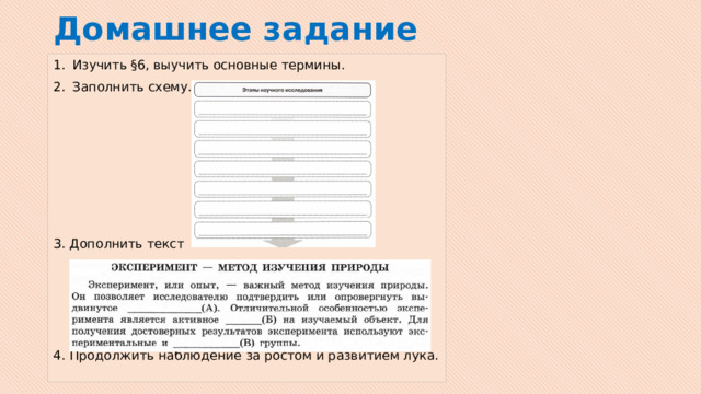 Домашнее задание Изучить §6, выучить основные термины. Заполнить схему. 3. Дополнить текст 4. Продолжить наблюдение за ростом и развитием лука.