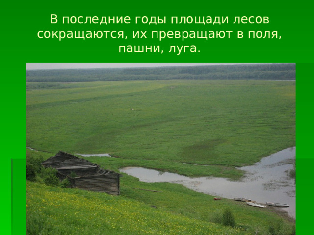 В последние годы площади лесов сокращаются, их превращают в поля, пашни, луга.