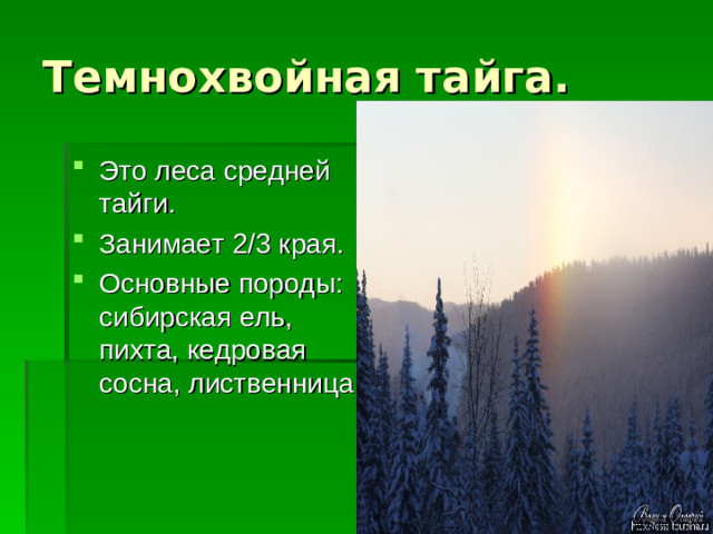 Это леса средней тайги. Занимает 2/3 края. Основные породы: сибирская ель, пихта, кедровая сосна, лиственница.