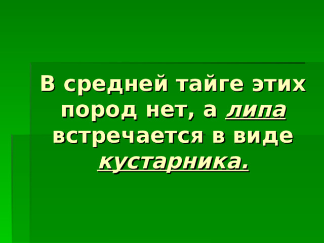 В средней тайге этих пород нет, а липа  встречается в виде кустарника.