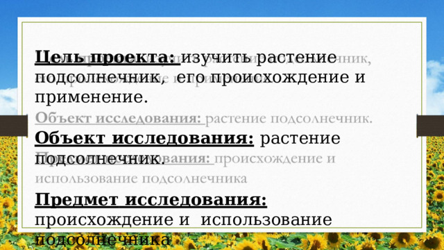 Цель проекта: изучить растение подсолнечник,  его  происхождение  и  применение. Объект  исследования:  растение  подсолнечник. Предмет  исследования:  происхождение  и  использование  подсолнечника