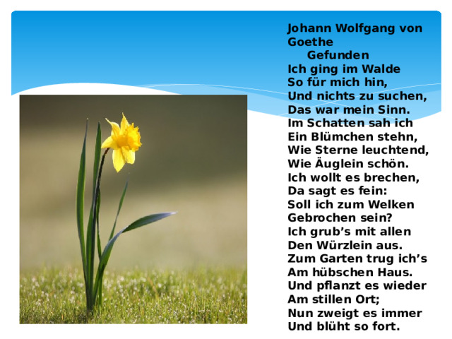 Johann Wolfgang von Goethe  Gefunden Ich ging im Walde  So für mich hin,  Und nichts zu suchen,  Das war mein Sinn. Im Schatten sah ich  Ein Blümchen stehn,  Wie Sterne leuchtend,  Wie Äuglein schön. Ich wollt es brechen,  Da sagt es fein:  Soll ich zum Welken  Gebrochen sein? Ich grub’s mit allen  Den Würzlein aus.  Zum Garten trug ich’s  Am hübschen Haus. Und pflanzt es wieder  Am stillen Ort;  Nun zweigt es immer  Und blüht so fort.