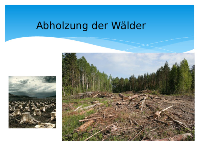 Abholzung der Wälder