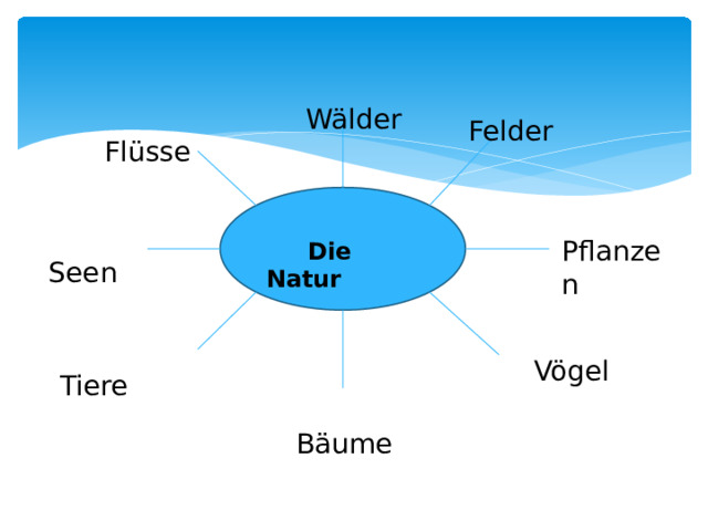 Wälder Felder  Flüsse  Seen Pflanzen  Die Natur  Tiere  Vögel  Bäume