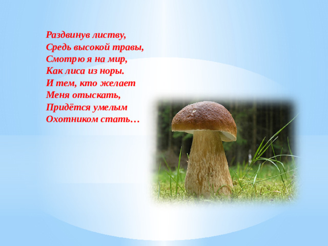 Раздвинув листву,  Средь высокой травы,  Смотрю я на мир,  Как лиса из норы.  И тем, кто желает  Меня отыскать,  Придётся умелым  Охотником стать…