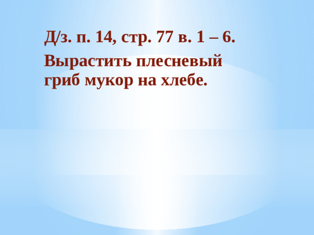 Д/з. п. 14, стр. 77 в. 1 – 6. Вырастить плесневый гриб мукор на хлебе.