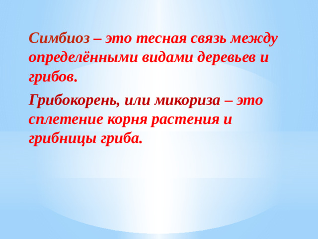 Симбиоз – это тесная связь между определёнными видами деревьев и грибов. Грибокорень, или микориза – это сплетение корня растения и грибницы гриба.