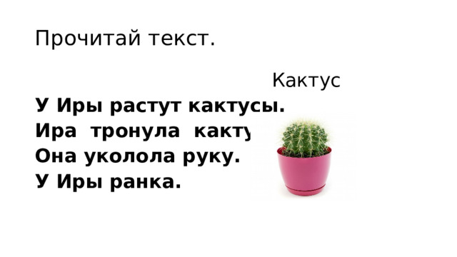 Прочитай текст.  Кактус У Иры растут кактусы. Ира тронула кактус. Она уколола руку. У Иры ранка.