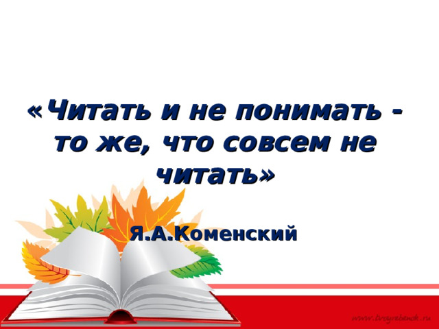 « Читать и не понимать - то же, что совсем не читать»   Я.А.Коменский