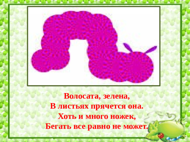 Волосата, зелена, В листьях прячется она. Хоть и много ножек, Бегать все равно не может.