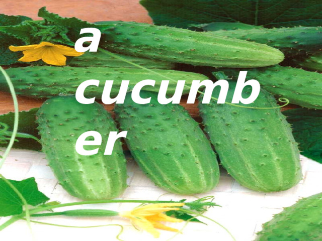 a cucumber