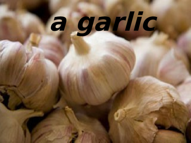 a garlic