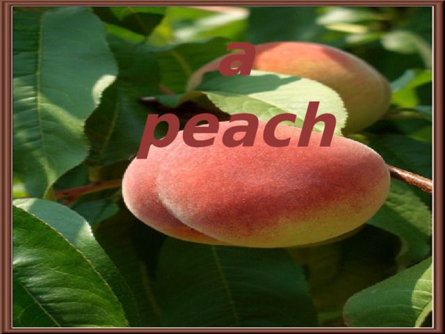 a peach