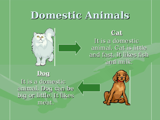 Domestic Animals Cat It is a domestic animal. Cat is little and fast. It likes fish and milk. Dog It is a domestic animal. Dog can be big or little. It likes meat.