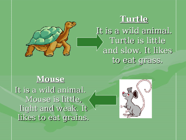 Turtle It is a wild animal. Turtle is little and slow. It likes to eat grass. Mouse It is a wild animal. Mouse is little, light and weak. It likes to eat grains.