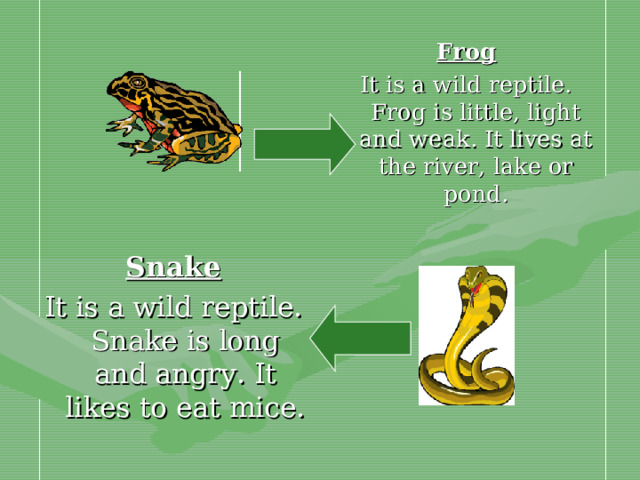 Frog It is a wild reptile. Frog is little, light and weak. It lives at the river, lake or pond. Snake It is a wild reptile. Snake is long and angry. It likes to eat mice.