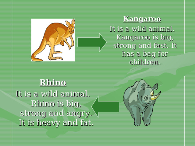 Kangaroo It is a wild animal. Kangaroo is big, strong and fast. It has a bag for children. Rhino It is a wild animal. Rhino is big, strong and angry. It is heavy and fat.