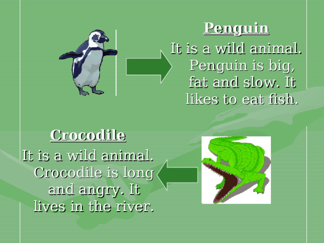 Penguin It is a wild animal. Penguin is big, fat and slow. It likes to eat fish. Crocodile It is a wild animal. Crocodile is long and angry. It lives in the river.