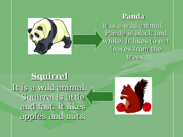 Panda It is a wild animal. Panda is black and white. It likes to eat leaves from the trees. Squirrel It is a wild animal. Squirrel is little and fast. It likes apples and nuts.