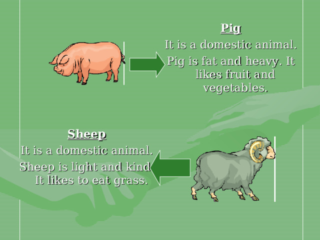 Pig It is a domestic animal. Pig is fat and heavy. It likes fruit and vegetables. Sheep It is a domestic animal. Sheep is light and kind. It likes to eat grass.