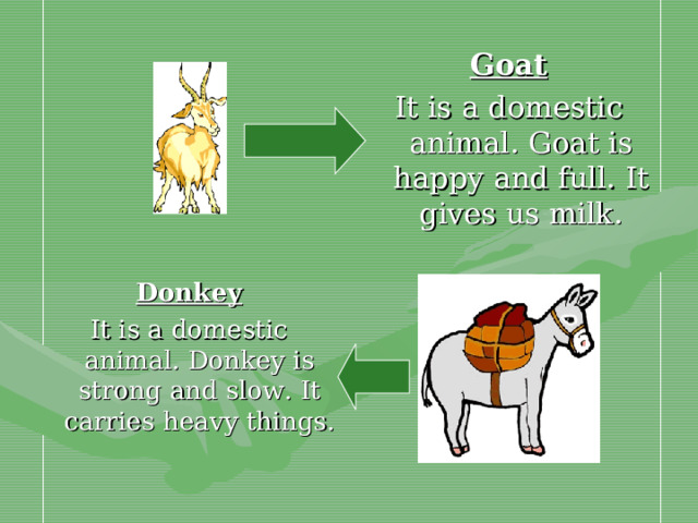 Goat It is a domestic animal. Goat is happy and full. It gives us milk. Donkey It is a domestic animal. Donkey is strong and slow. It carries heavy things.