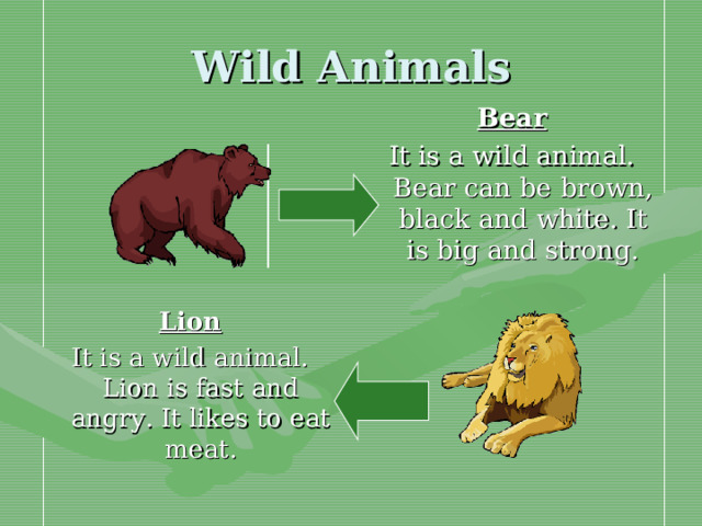 Wild Animals Bear It is a wild animal. Bear can be brown, black and white. It is big and strong. Lion It is a wild animal. Lion is fast and angry. It likes to eat meat.