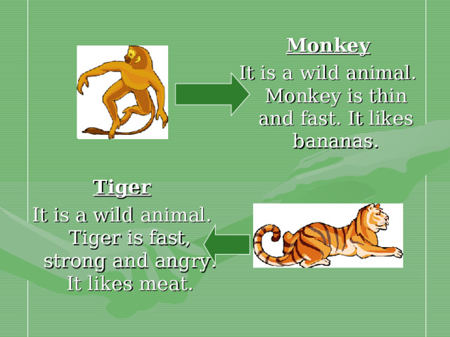 Monkey It is a wild animal. Monkey is thin and fast. It likes bananas. Tiger It is a wild animal. Tiger is fast, strong and angry. It likes meat.