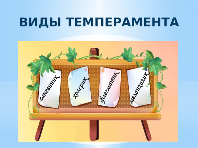 ВИДЫ ТЕМПЕРАМЕНТА