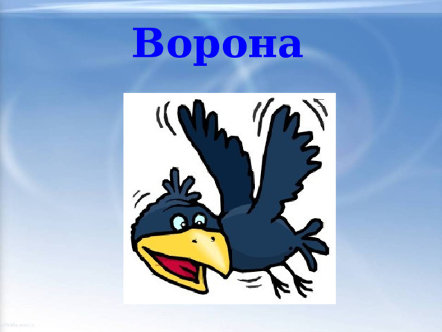 Ворона