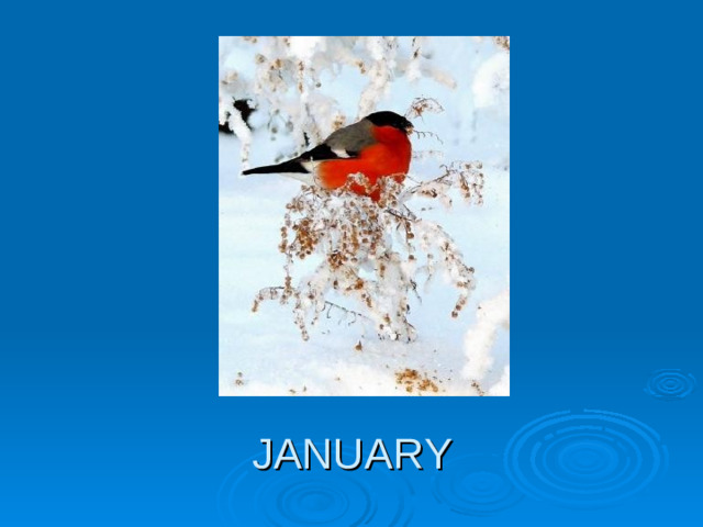 JANUARY