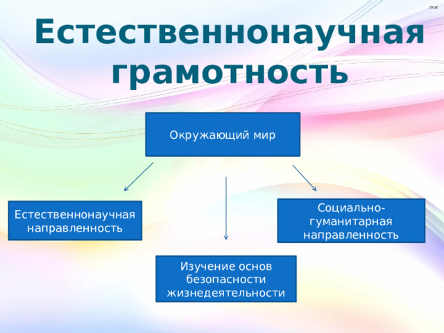 Естественнонаучная грамотность Окружающий мир Социально-гуманитарная направленность Естественнонаучная направленность Изучение основ безопасности жизнедеятельности