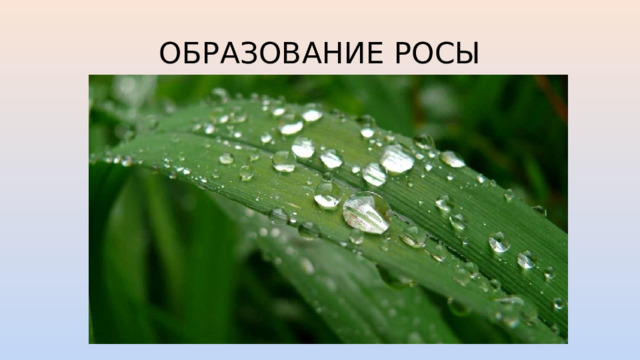 ОБРАЗОВАНИЕ РОСЫ