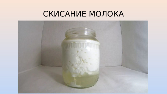СКИСАНИЕ МОЛОКА