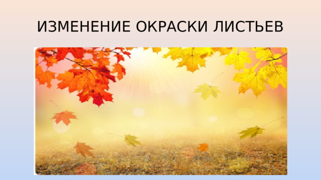 ИЗМЕНЕНИЕ ОКРАСКИ ЛИСТЬЕВ