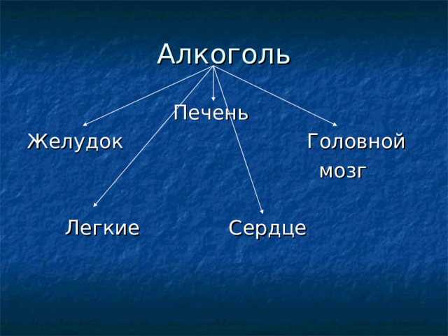 Алкоголь  Печень Желудок Головной  мозг  Легкие Сердце