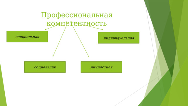 Профессиональная компетентность специальная индивидуальная социальная личностная