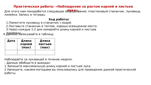 Практическая работа: «Наблюдение за ростом корней и листьев лука». Для этого нам понадобится следующее оборудование: пластиковый стаканчик, луковица, линейка. Запись в тетрадь. Ход работы: 1.Поместите луковицу в стаканчик с водой. 2.Поставьте стаканчик в теплое, хорошо освещенное место. 3.Через каждые 1-2 дня измеряйте длину корней и листьев луковицы. 4.Данные записывайте в таблицу Дата   Длина корней (max) Длина листьев (max)     Наблюдайте за луковицей в течение недели. - Данные обобщите в выводах: 1.Запишите максимальную длину корней и листьев лука. 2.Напишите, какими методами вы пользовались для проведения данной практической работы.